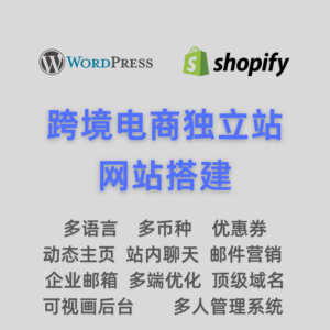 外贸跨境电商网站独立站搭建WordPress/Shopify平台